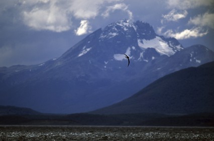 Patagonia