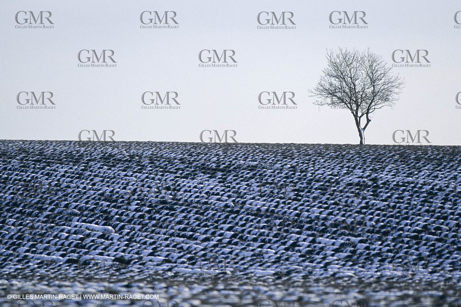 Provence under snow - Higher Provence - Valensole plateau