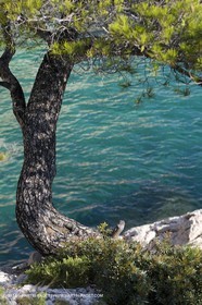 20 06 2008 - Marseille (FRA,13) - Croisière das les îles et les calanques - Sormiou