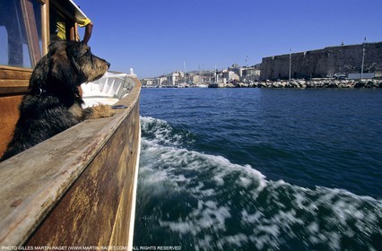 Marseille (FRA,13), La pêche