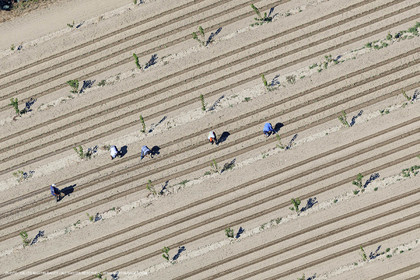 Payages des Costières (30)