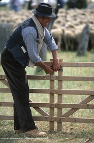 Saint Rémy de Provence (FRA,13) - Fête de la Transhumance
