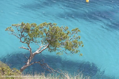 27 05 2009 - Marseille (FRA, 13) - Les Calanques - Sormiou