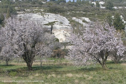 16 02 2008 - Les Baux de Provence (FRA, 13) - Alpilles hills landscapes