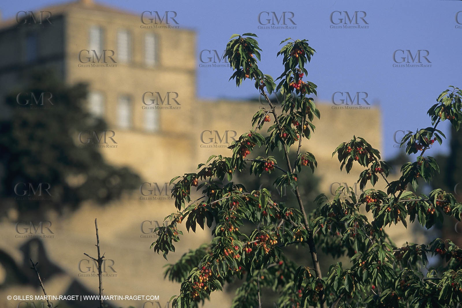 France, Provence, Pays d'Aix en Provence, Ansouis