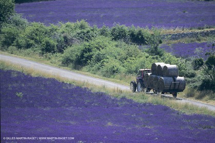 France, Provence, Lubéron