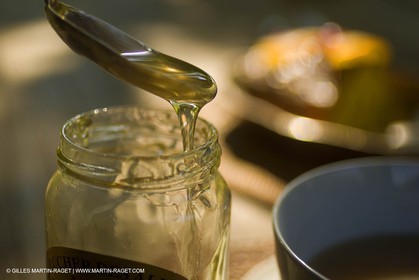 13 08 2007 - Saint Etienne du Grès (FRA - 13) - Miel et abeilles