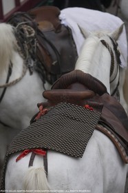 01 05 2015, Arles (FRA,13), Camargue Gardians Fest