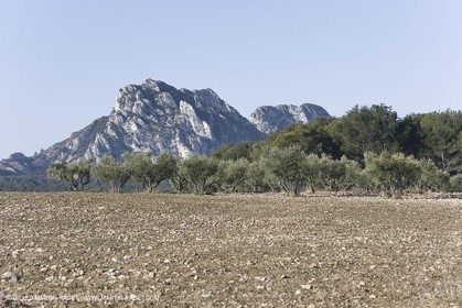 09 02 2008 - Les Baux de Provence (FRA, 13) - Alpilles hills landscapes