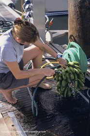 Sailing, cruising, people, women