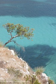 27 05 2009 - Marseille (FRA, 13) - Les Calanques - Sormiou