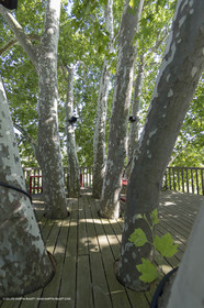 22 06 2018, Saint-Saturnin les Apts (FRA,84), Domaine des Andéols