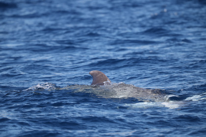 GMR_JurisCup25_3450.jpg