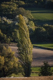 15 10 2012 - Vallée de l'Encrême près de Céreste
