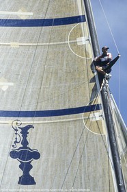 Courses à la voile, Coupe de l'America 2000, America's Cup 2000, Auckland (NZL)