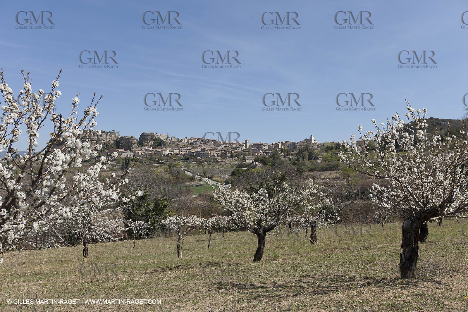 March 30th 2012 - Saint Saignon (FRA, 84) - blooming cherry trees