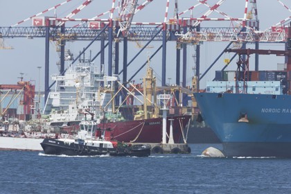 12 11 2014, Capetown (ZAF), Volvo Ocean Race 2014-15, Team Alvimedica goes back training