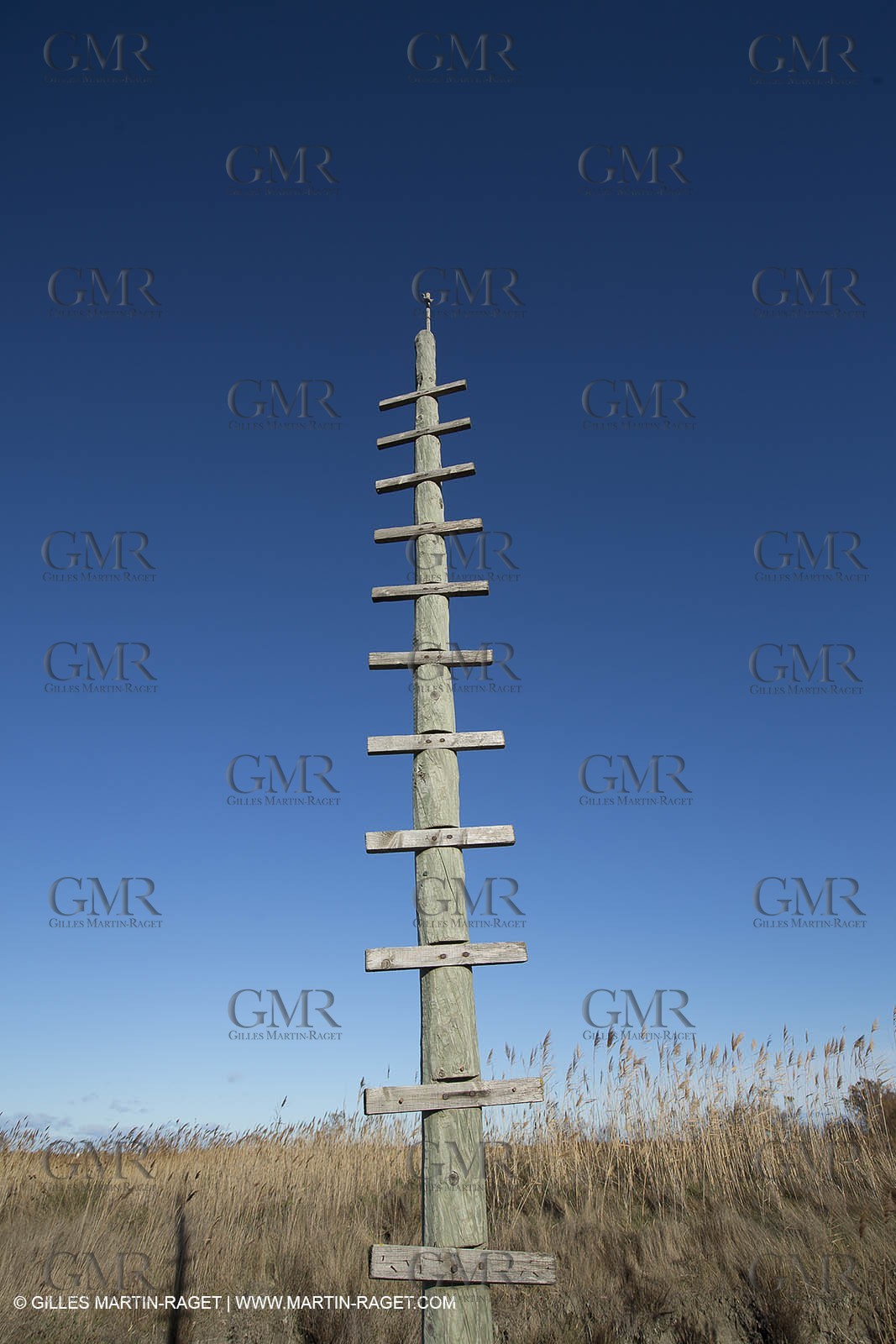 26 12 2013 - Les Saintes Maries de la Mer (FRA,13) - Horse riding at Cabanes de Cacharel