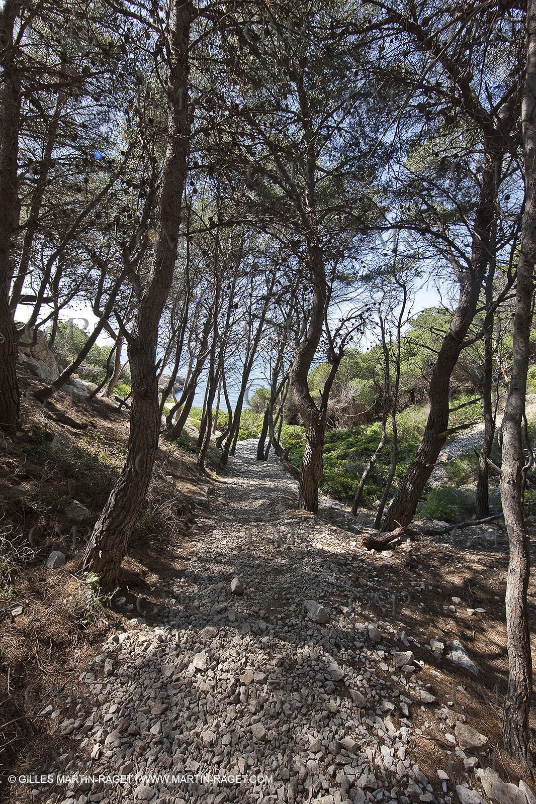 20 05 2009 - Marseille (FRA, 13) - Les Calanques - Calanque des Cairons