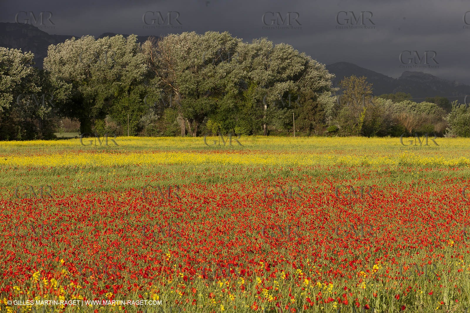 29 04 2012 ( Saint Rémy de Provence (FRA, 13) - Chaîne des Alpilles vers Romanin