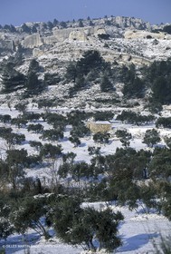 Provence under snow - Baux ed Provence