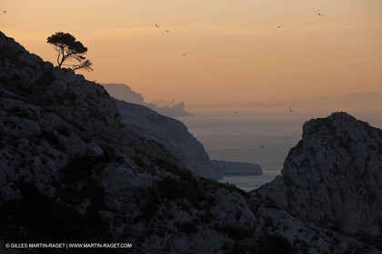 23 03 2009 - Marseille (FRA, 13) - Les Calanques - Crête de Sormiou, cap Morgiou, Bec de l'aigle