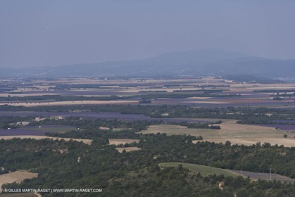 13 08 2007 - Valensole (04) - lavender fields on Valensole plateau