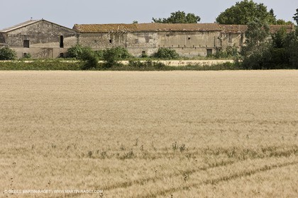 10 06 2008 - Arles and surroundings (FRA, 13) - Vincent Van Gogh south