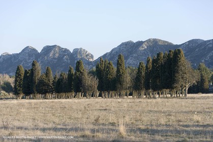 16 02 2008 - Les Baux de Provence (FRA, 13) - Alpilles hills landscapes