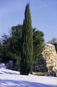 Provence under snow