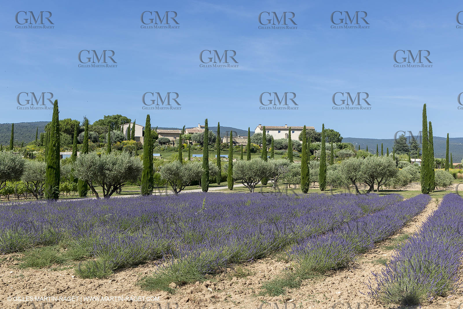 22 06 2018, Saint-Saturnin les Apts (FRA,84), Domaine des Andéols