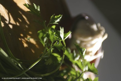 Cooking herbes from Provence - Garlic and Parsley
