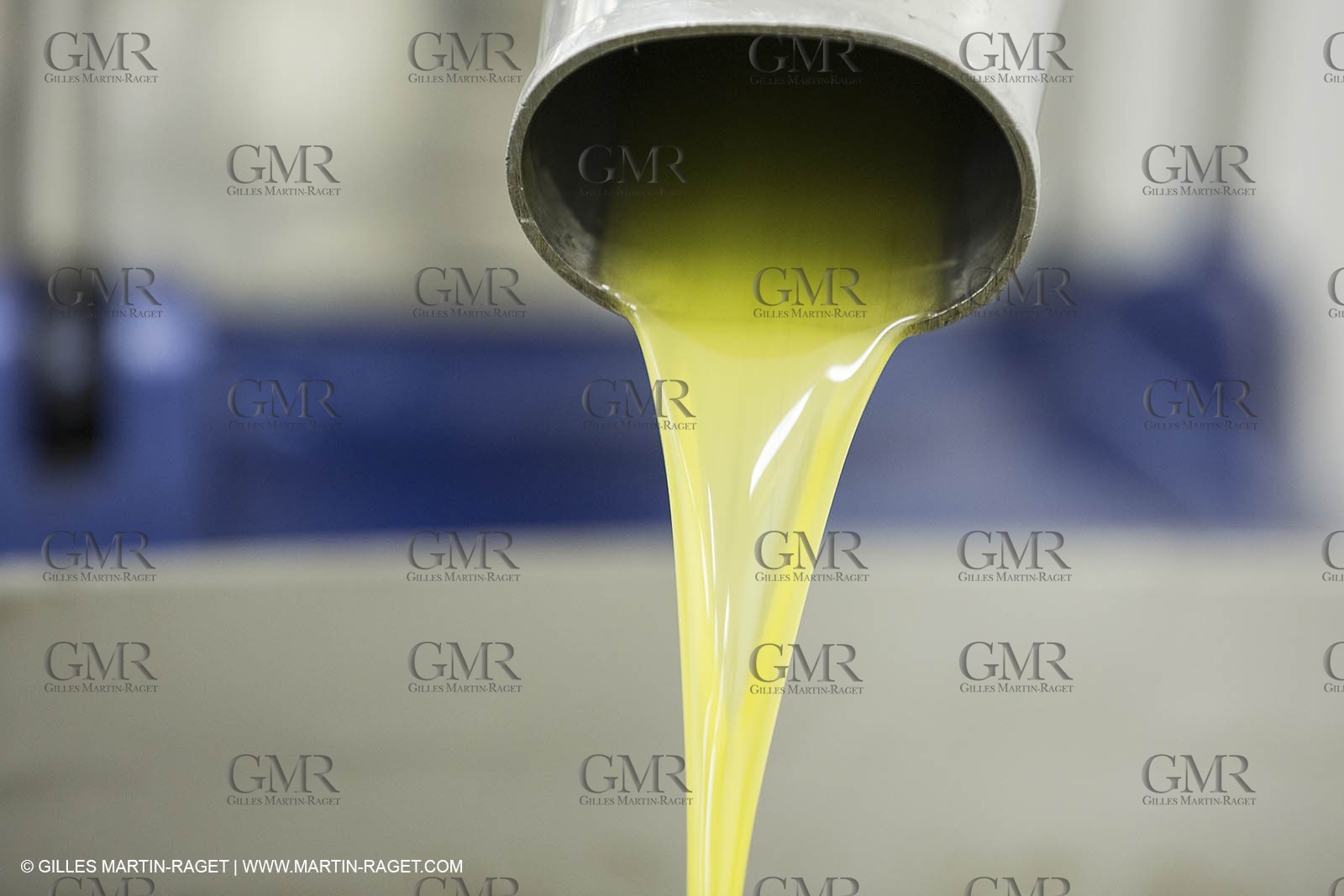 22 11 2012 - Fontvieille (FRA,13) - Olive oil making at Bedarrides olive oil mill