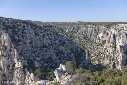 06 05 2009 - Marseille (FRA, 13) - Les Calanques - On Castelviel plateau - Calanque de Loule et falaises du Devenson