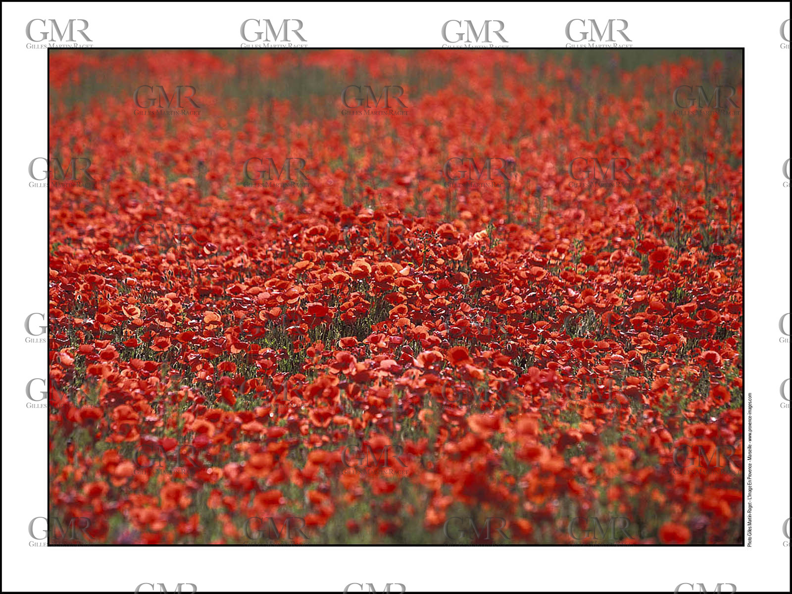 Product: in house made quality print on 8 ultrachome colors Epson ink Jet printer.Available sizes: . 30x40 cm. 50x70 cm. 80x120 cmAvailable papers: . Standard 250 gr glossy paper print, black streak, white margin, no signature. Top quality glossy 290 gr. paper, black streak, white margin, checked and signed by the author. Fine Art print (signed, numbered, stamped, registered) on demand. Other supports (Canvas, Acrylic, Metal) on demandPackaging: cylindric reinforced tubeShipping options: regular mail or Shipping companyClick on the basket icon to select your options and start the online ordering process