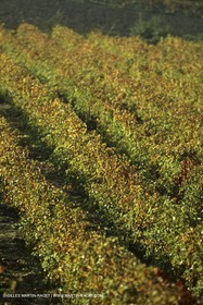 Luberon (FRA,84), Couleurs d'automne