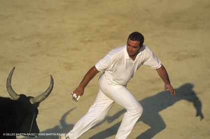 Camargue Bull game