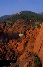 Corse