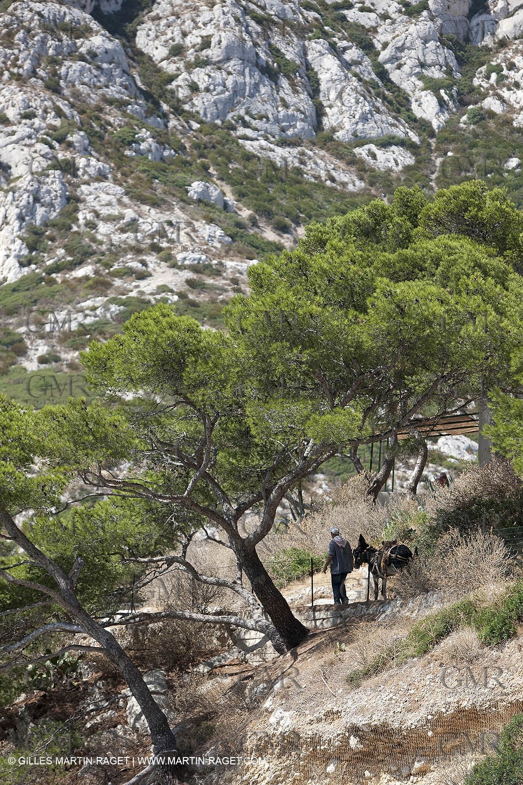 29 07 2009 - Marseille (FRA, 13) - Les Calanques
