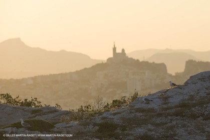 20 06 2008 - Marseille (FRA, 13) - Cruising among the local islands and creeks