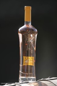 28 02 2008 - Cabasse (FRA, 83) - Domaine du Lac vines