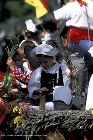 Saint Rémy de Provence - Fêtes de la careto ramado