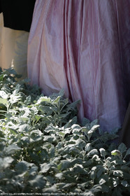 03 07 2016, Arles (FRA,13) Fête du Costume