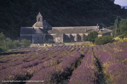 France, Provence, Lubéron