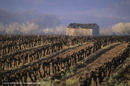 Landscapes and villages of Luberon national Park (FRA,04)