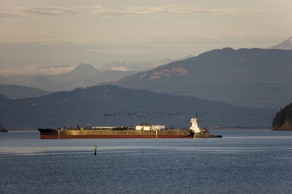 PacNW_1380.jpg
