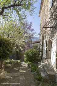 19 04 2018, Saint Martin de Castillon (FRA,84)