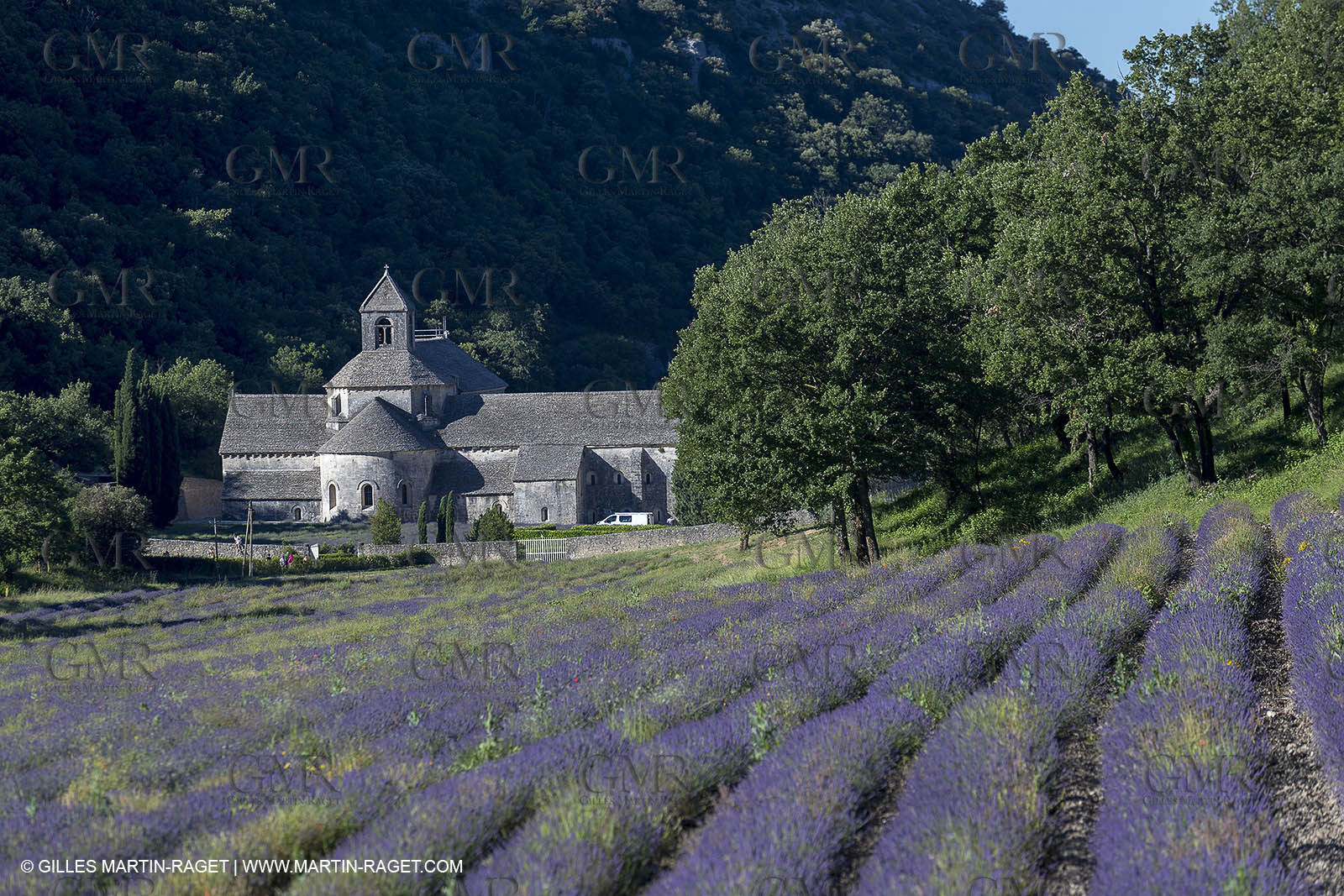 25 06 2018, Gordes (FRA,84), Abbaye de Sénanque