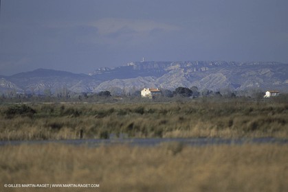 France, Provence, Camargue, Nature, marais, plage, beaches, marshes
