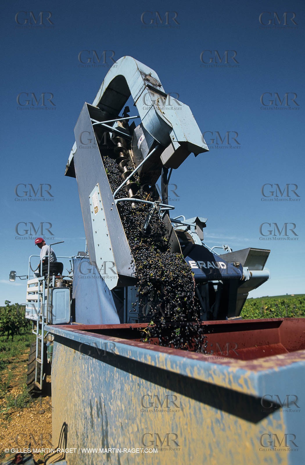 Paysages de Nîmes Métropole (FRA,30) -Costières